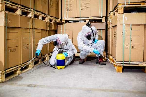 1 Termite Pest Control In Singapore 100 Extermination Nea Certified