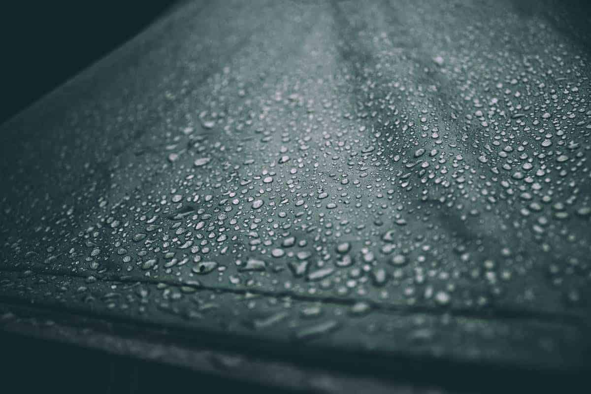 Moisture Control Solutions in Singapore | #1 NEA-certified Greencare