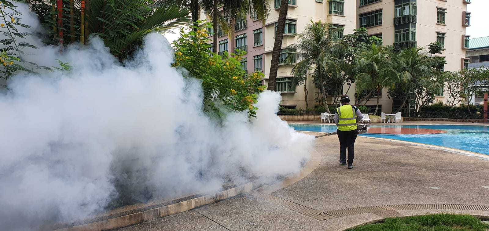 Gallery | Greencare Pest Control
