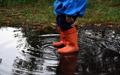 How Standing Water Can Lead To Pesky Pests