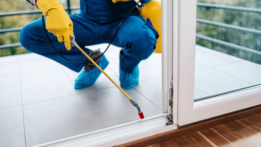 Pest Control person in-charge is sanitize the glass door.