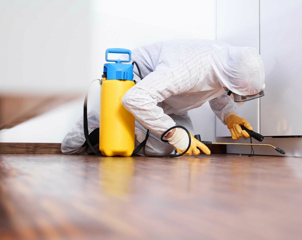 A pest control person in-charge is holding a touch light and sanitize the room.