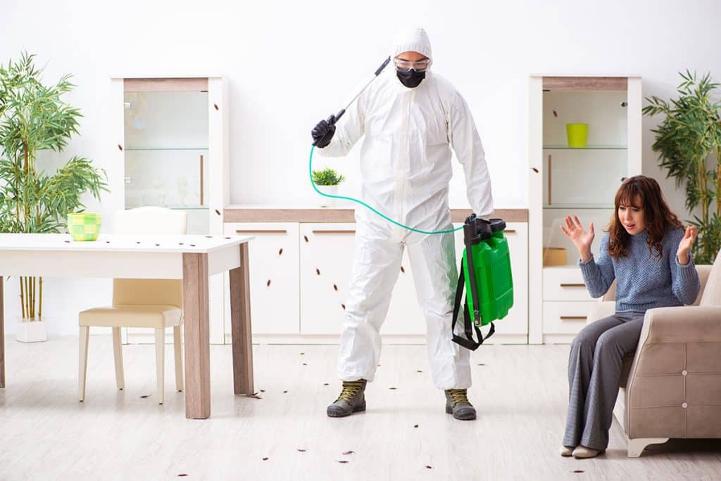 Avoid Scams: Choosing a Pest Control Company in Singapore