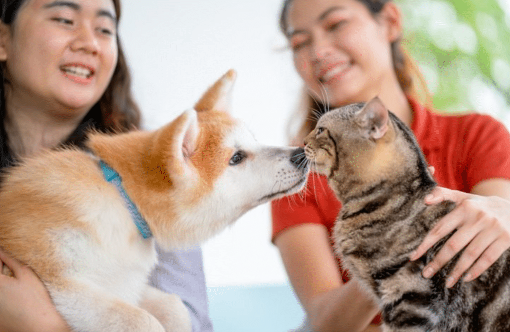 greencare singapore pets and fleas pest control